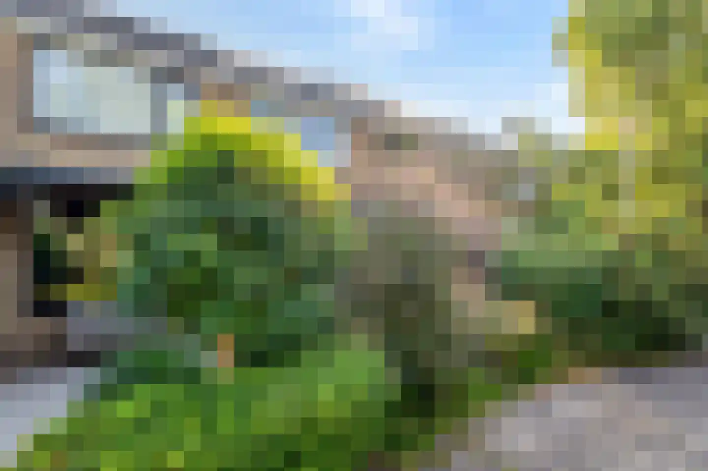 Beringlaan 4 Gouda thumbnail 35