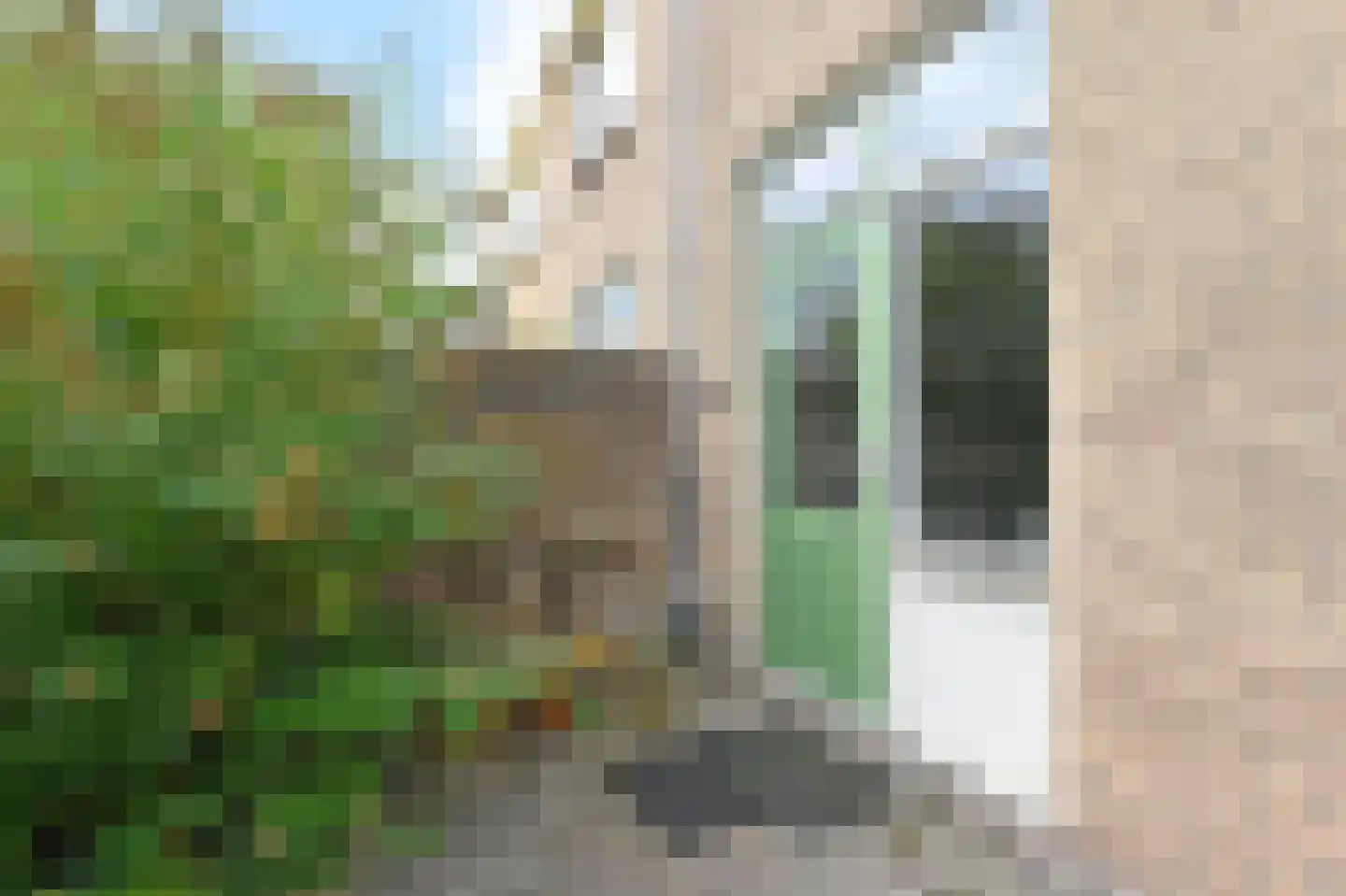 Beringlaan 4 Gouda thumbnail 37
