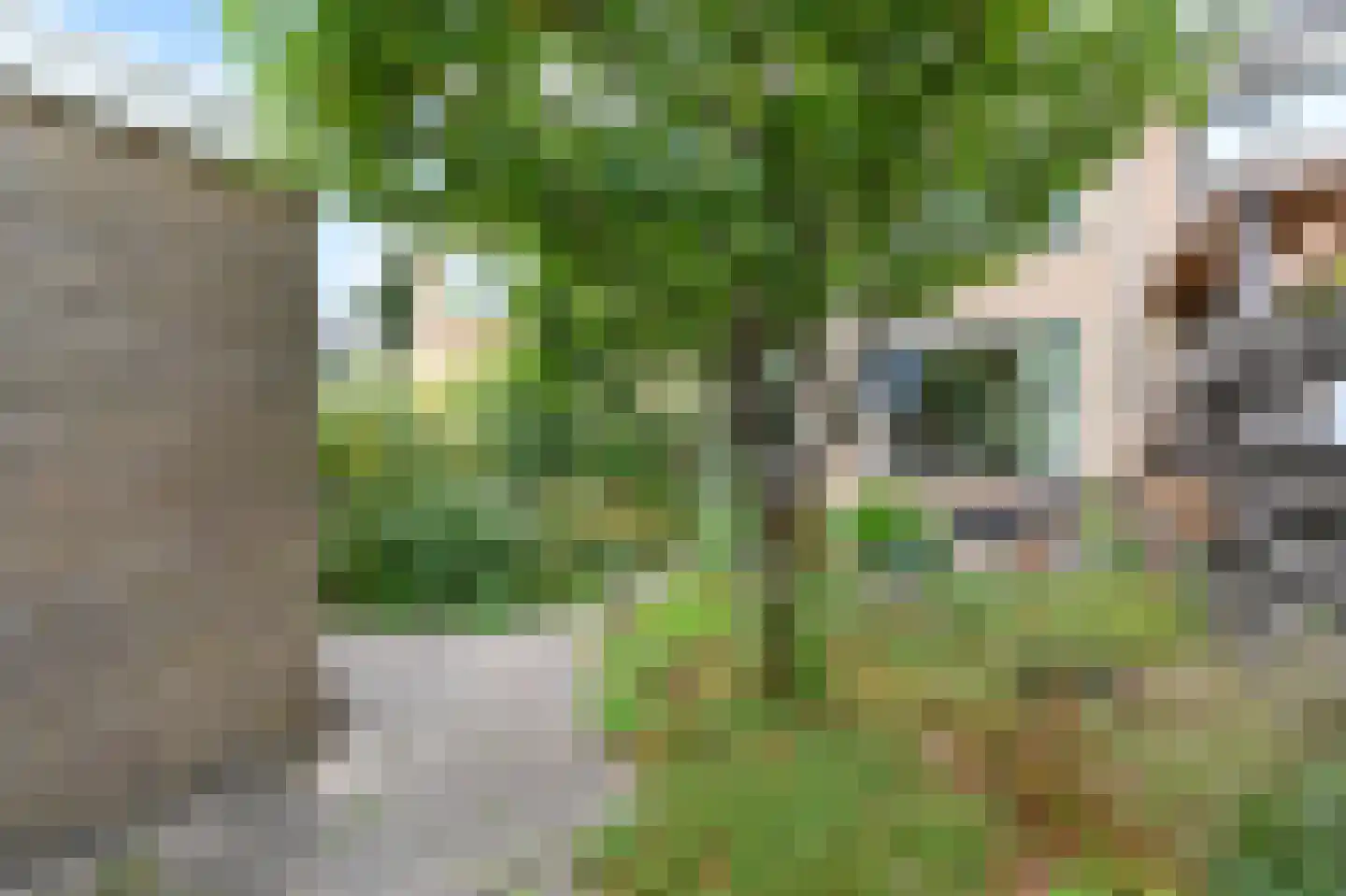 Beringlaan 4 Gouda thumbnail 39