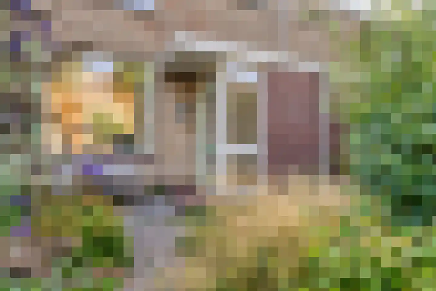 Beringlaan 4 Gouda thumbnail 5
