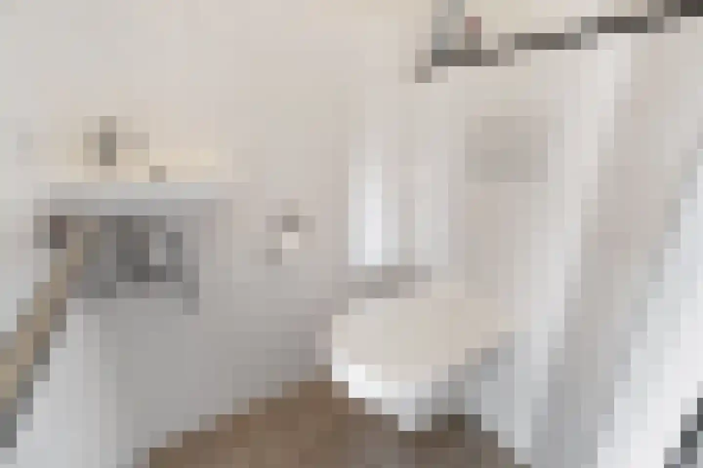 Beringlaan 4 Gouda thumbnail 8
