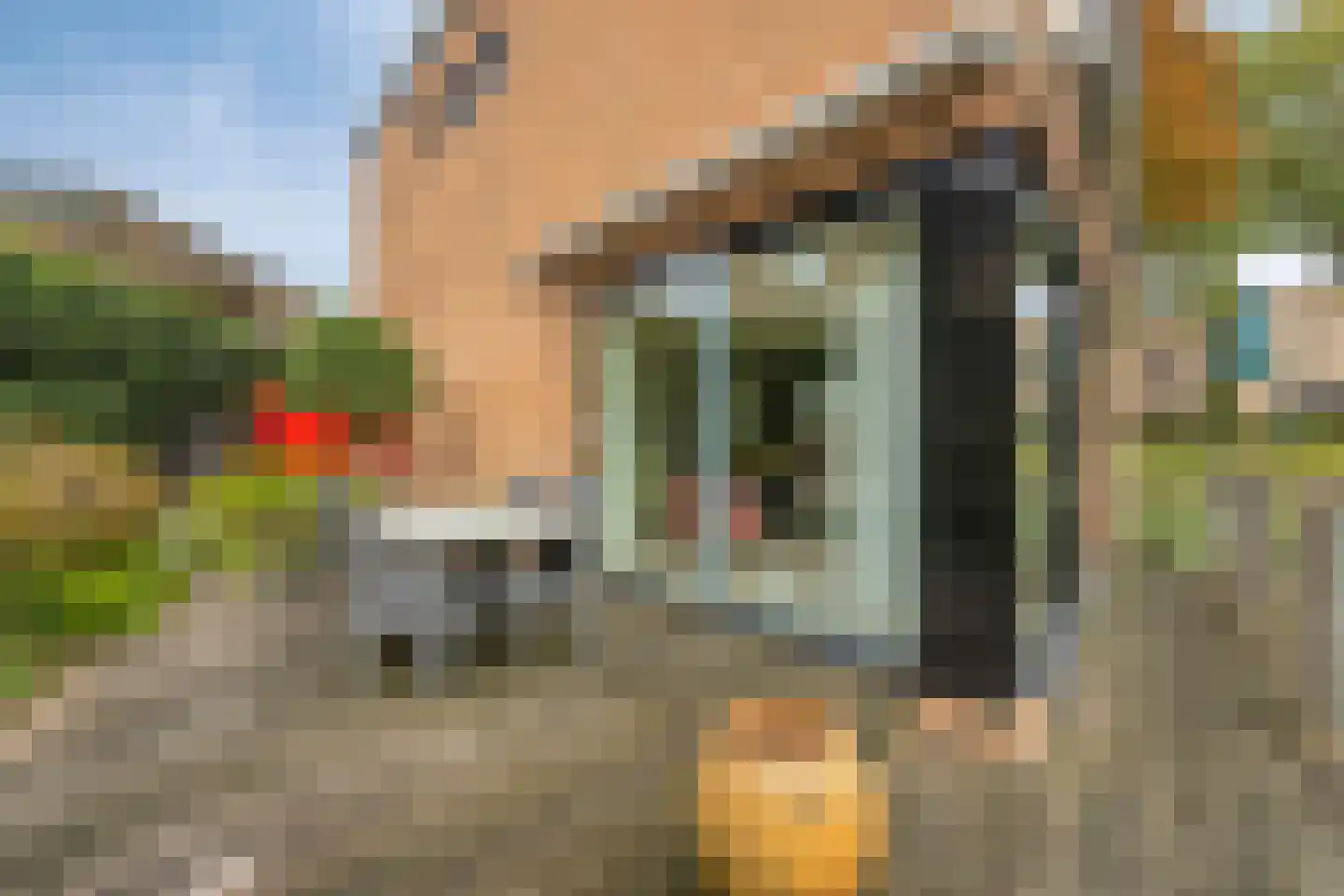 Beringstraat 1 Enschede thumbnail 57