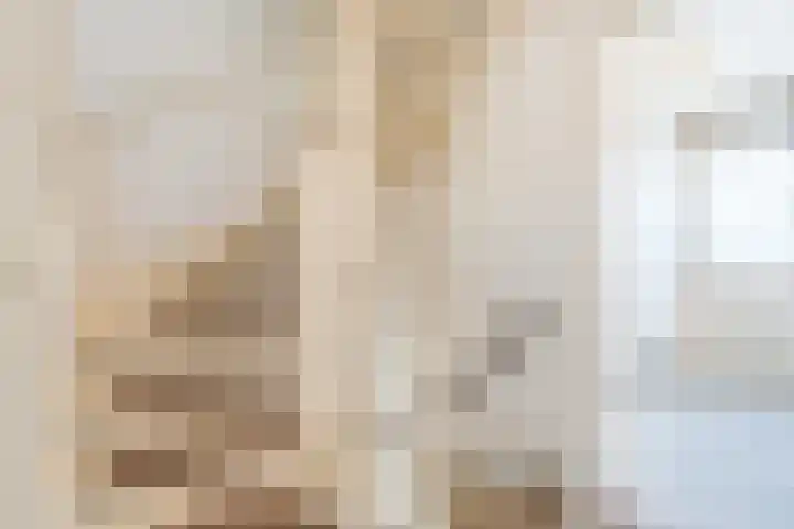 Beringstraat 20 Geldrop thumbnail 10