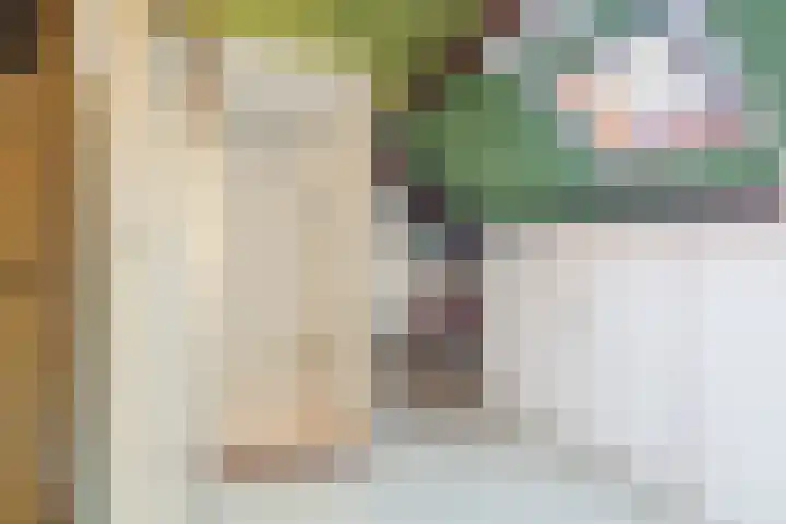 Beringstraat 20 Geldrop thumbnail 16