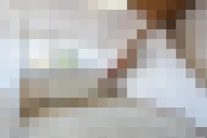 Beringstraat 20 Geldrop thumbnail 17