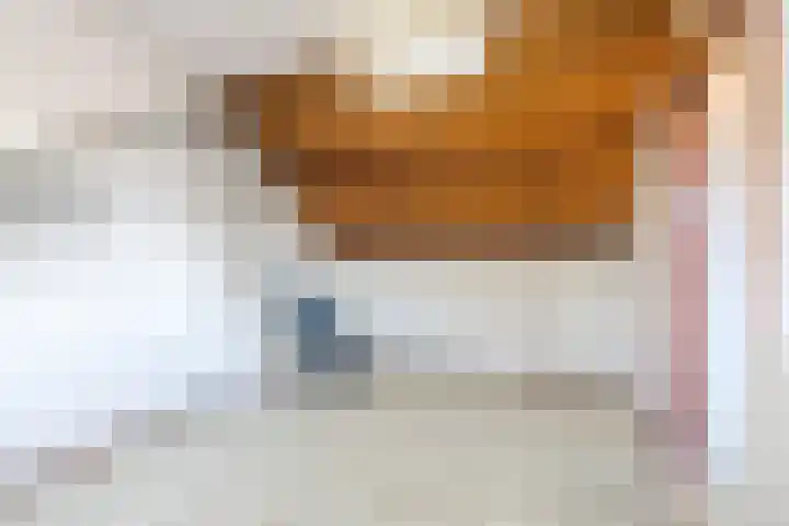 Beringstraat 20 Geldrop thumbnail 18