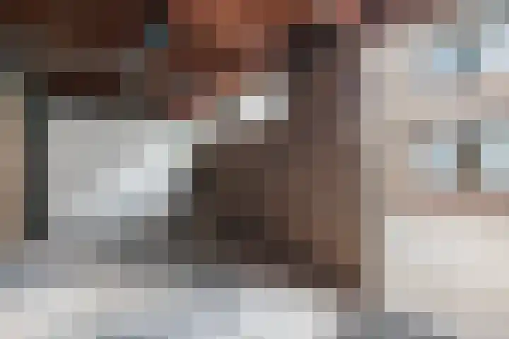 Beringstraat 20 Geldrop thumbnail 22