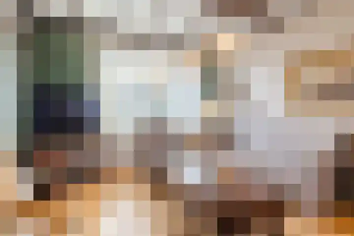 Beringstraat 20 Geldrop thumbnail 4