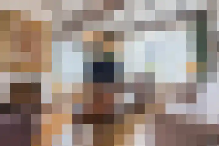 Beringstraat 20 Geldrop thumbnail 5