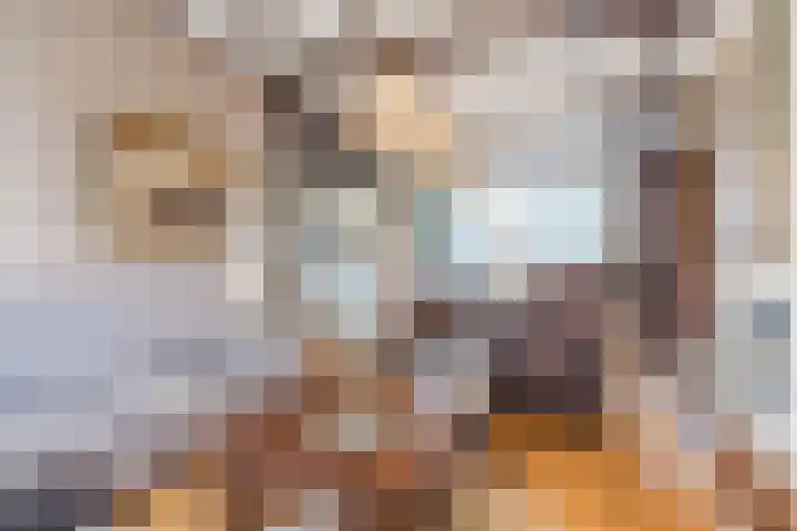 Beringstraat 20 Geldrop thumbnail 6