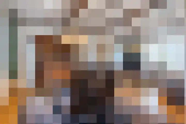 Beringstraat 20 Geldrop thumbnail 8