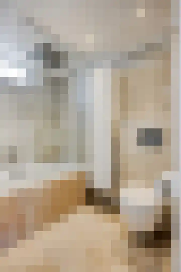 Beringstraat 28 Geldrop thumbnail 18