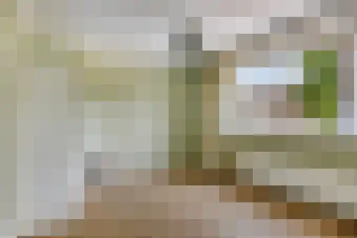 Beringstraat 28 Geldrop thumbnail 21