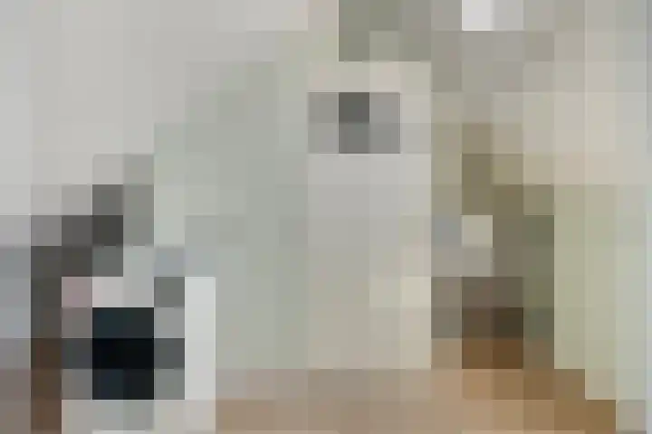 Beringstraat 28 Geldrop thumbnail 26