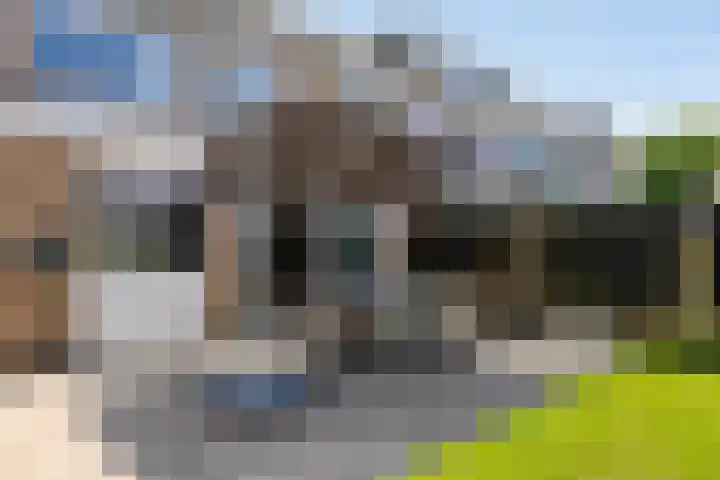 Beringstraat 28 Geldrop thumbnail 29