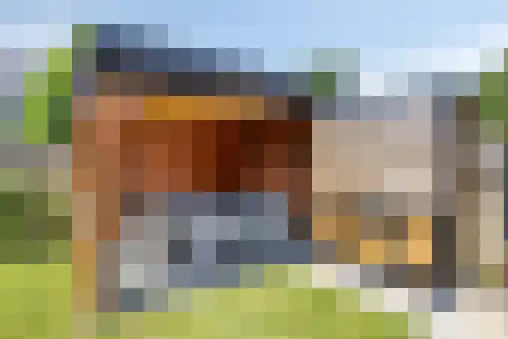 Beringstraat 28 Geldrop thumbnail 30