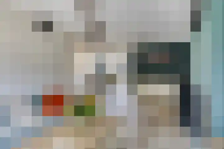 Beringstraat 28 Geldrop thumbnail 5