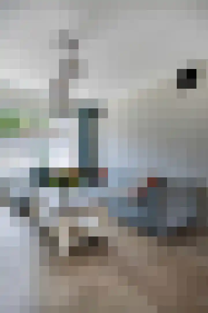 Beringstraat 28 Geldrop thumbnail 6