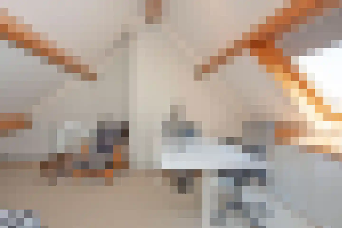 Beringstraat 31 Enschede thumbnail 33