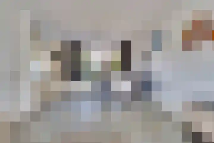 Beringstraat 4 Geldrop thumbnail 10