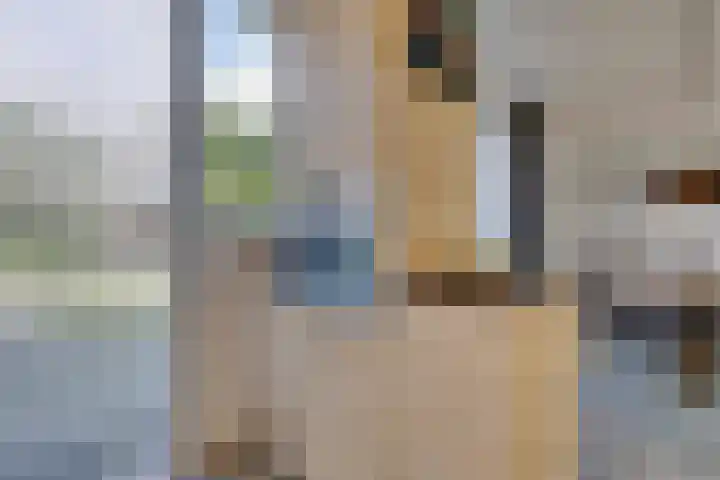 Beringstraat 4 Geldrop thumbnail 15