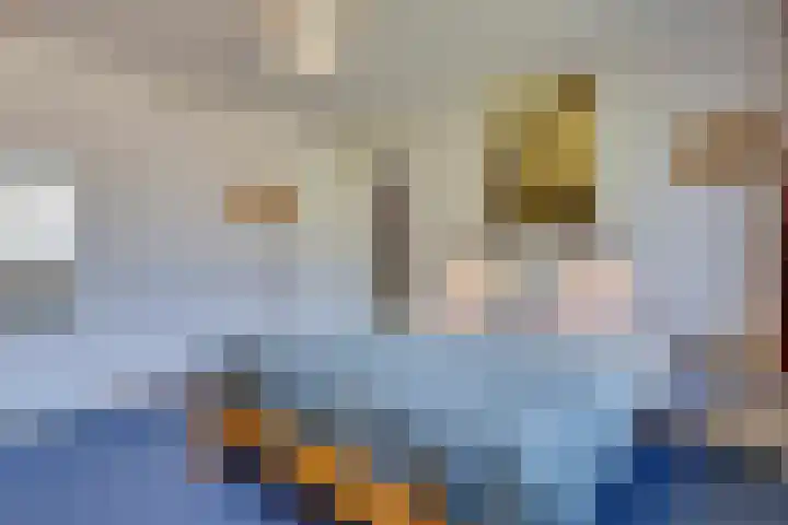 Beringstraat 4 Geldrop thumbnail 18