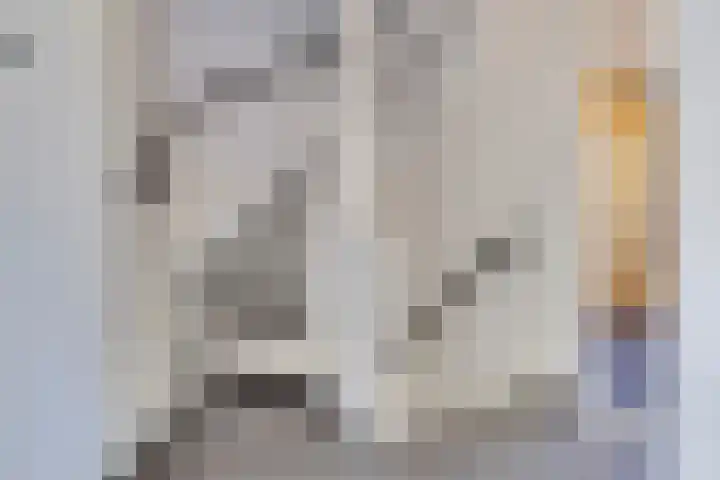 Beringstraat 4 Geldrop thumbnail 24