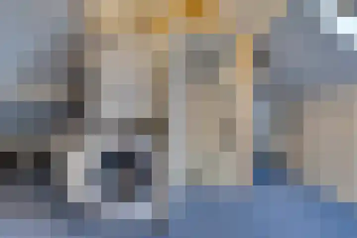 Beringstraat 4 Geldrop thumbnail 25