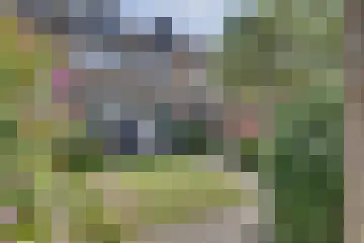 Beringstraat 4 Geldrop thumbnail 28