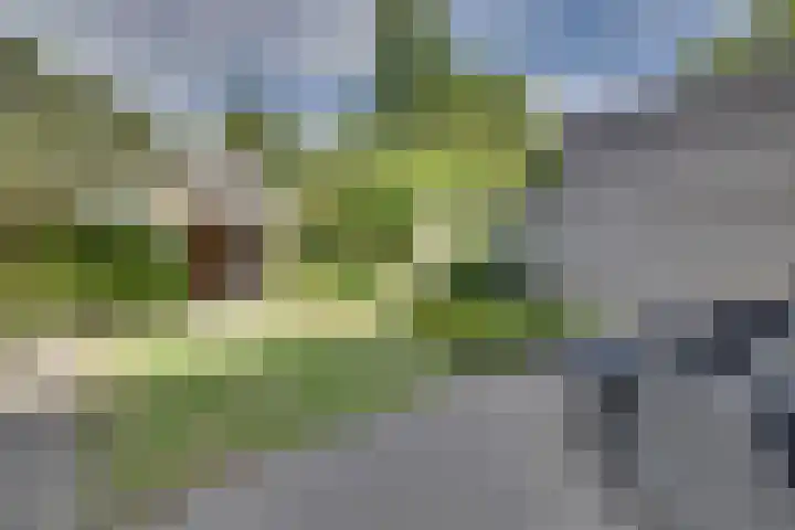 Beringstraat 4 Geldrop thumbnail 29