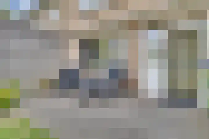 Beringstraat 4 Geldrop thumbnail 30
