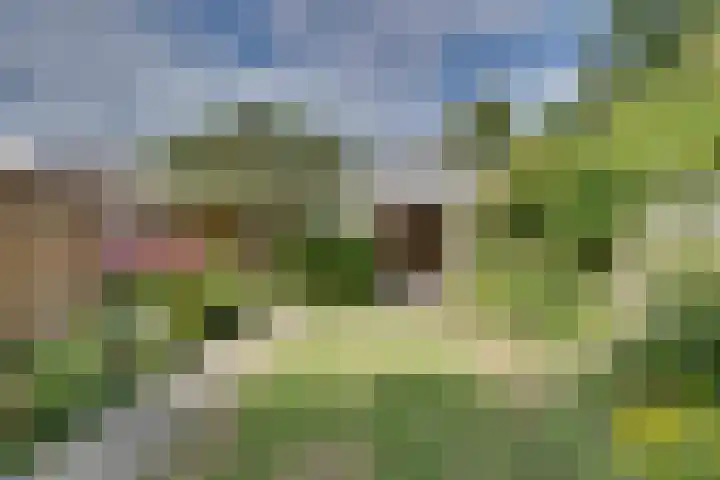 Beringstraat 4 Geldrop thumbnail 31