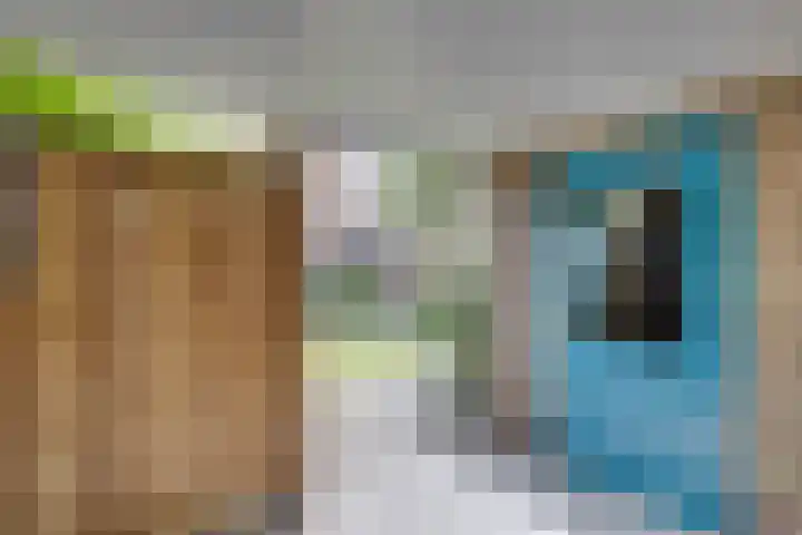 Beringstraat 4 Geldrop thumbnail 32