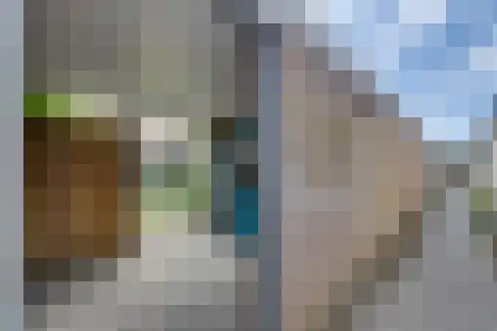 Beringstraat 4 Geldrop thumbnail 33