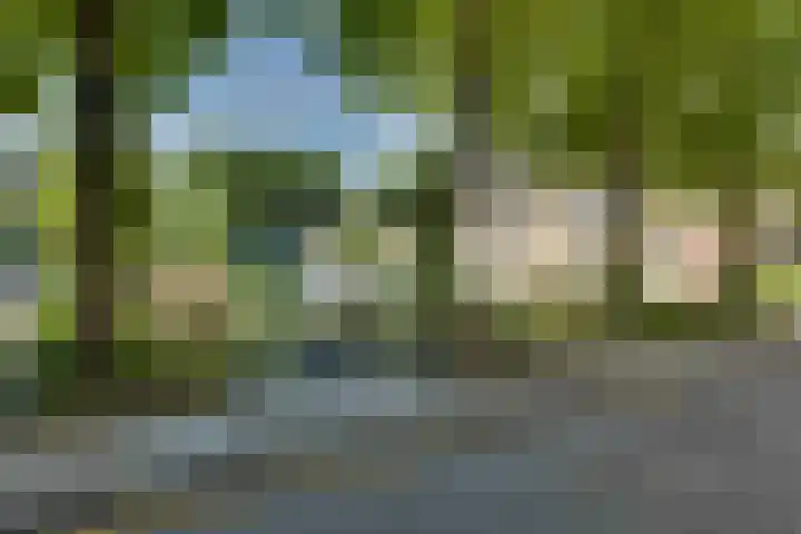 Beringstraat 4 Geldrop thumbnail 37
