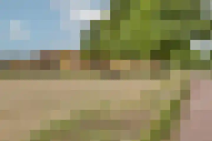 Beringstraat 4 Geldrop thumbnail 39