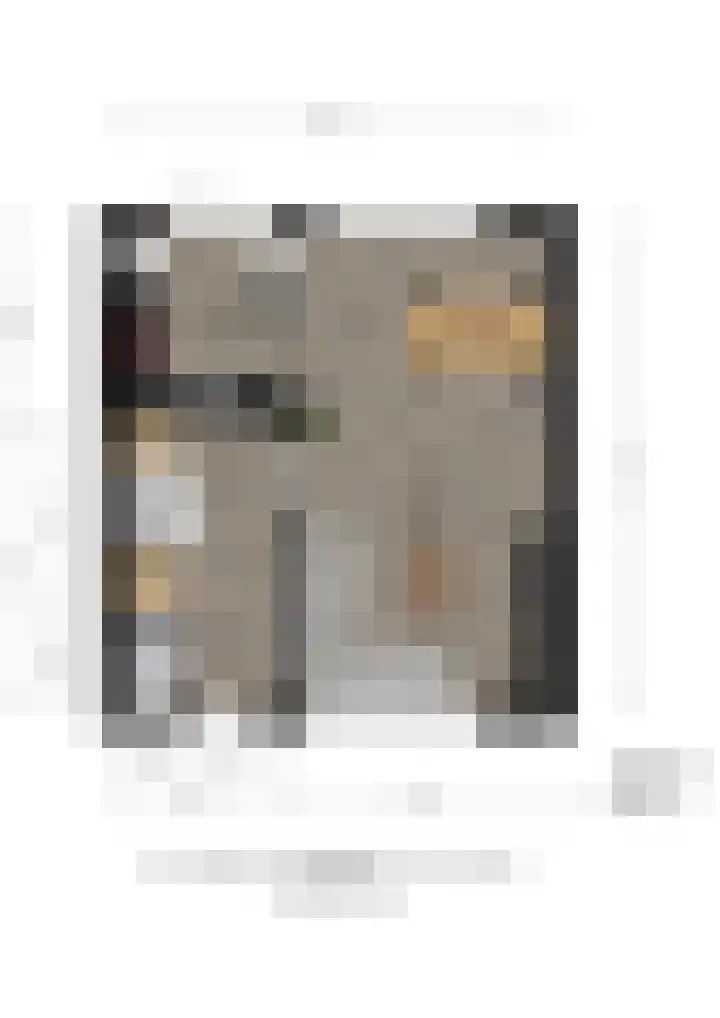 Beringstraat 4 Geldrop thumbnail 42
