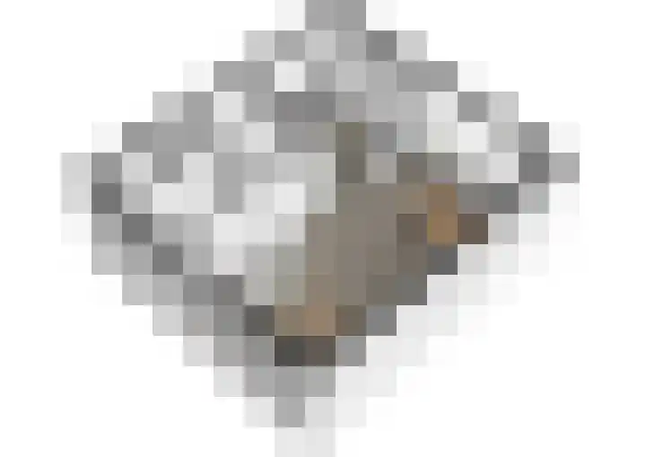 Beringstraat 4 Geldrop thumbnail 43