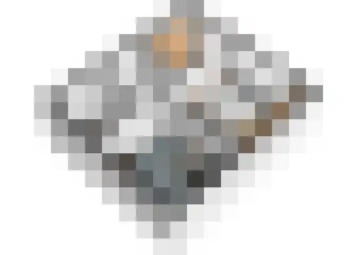 Beringstraat 4 Geldrop thumbnail 45