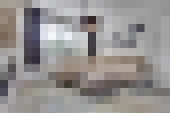 Beringstraat 4 Geldrop thumbnail 8