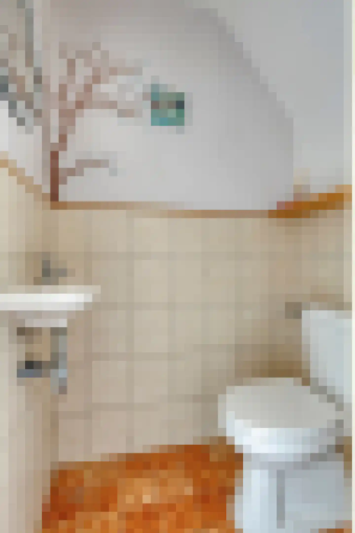 Beringstraat 47 Geldrop thumbnail 11