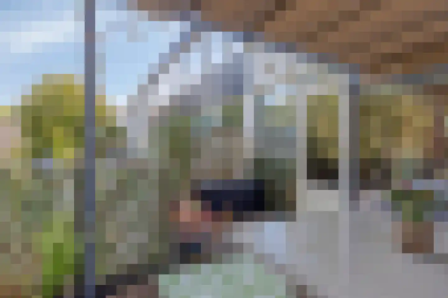 Beringstraat 47 Geldrop thumbnail 23