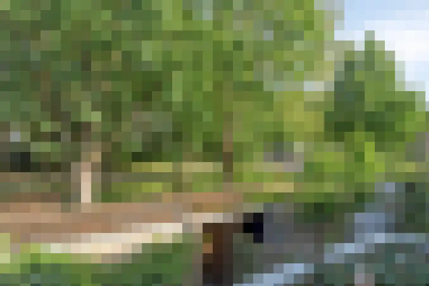 Beringstraat 47 Geldrop thumbnail 24