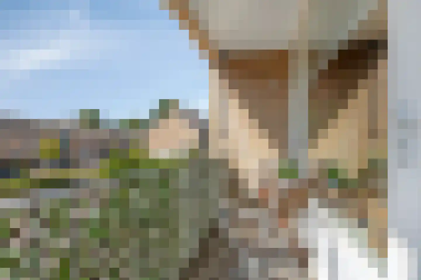 Beringstraat 47 Geldrop thumbnail 26