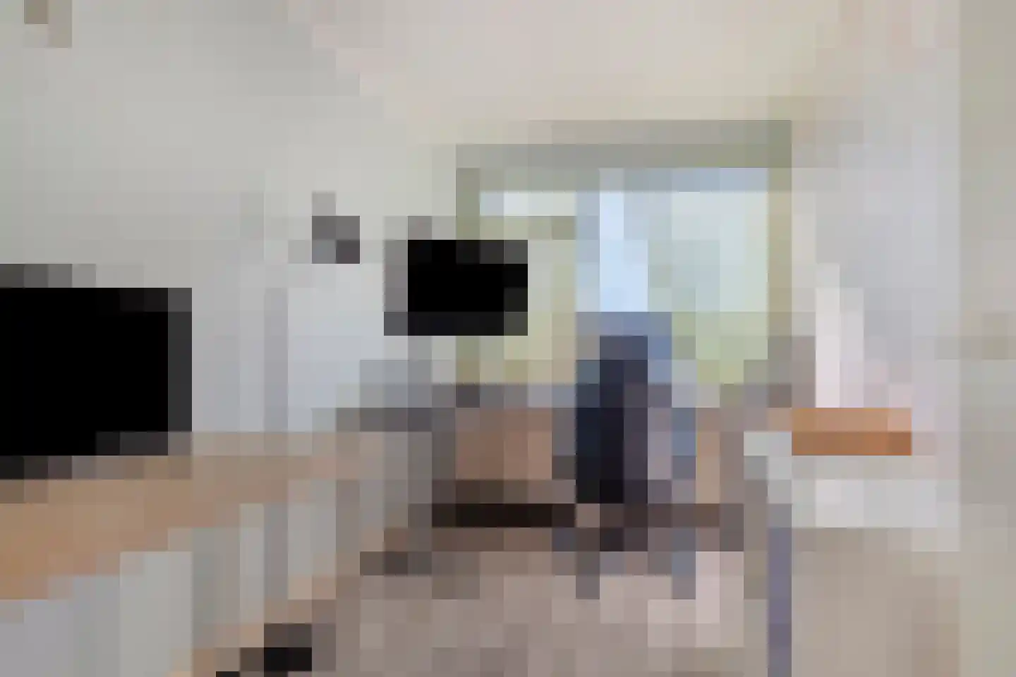 Beringstraat 47 Geldrop thumbnail 36