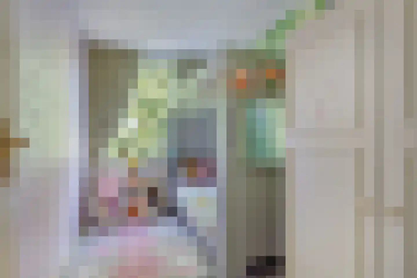 Beringstraat 47 Geldrop thumbnail 37