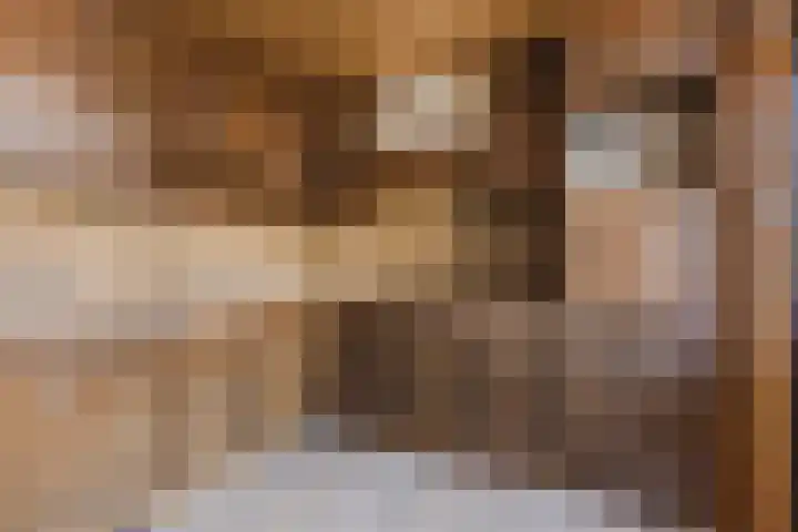 Beringstraat 8 Geldrop thumbnail 10