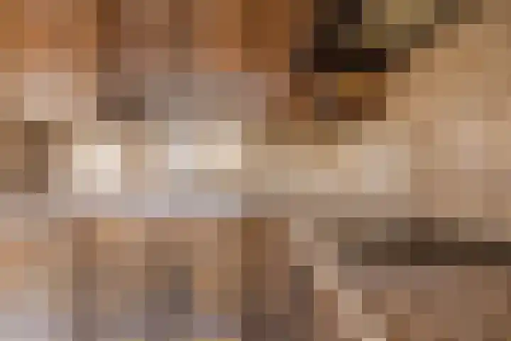 Beringstraat 8 Geldrop thumbnail 11