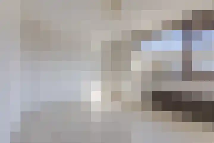 Beringstraat 8 Geldrop thumbnail 13