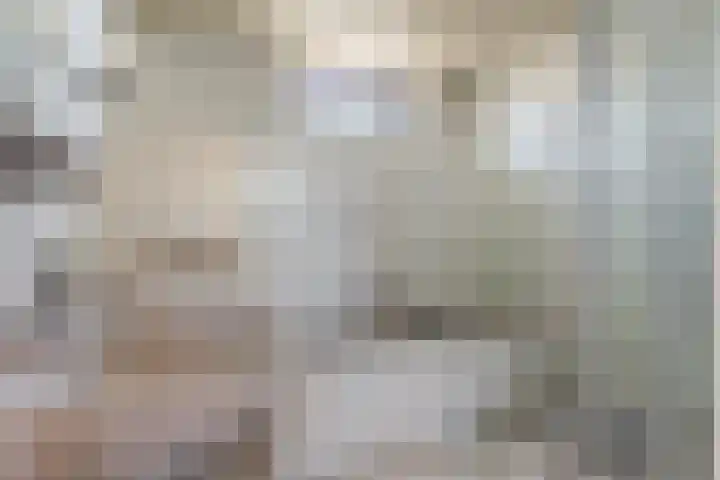 Beringstraat 8 Geldrop thumbnail 15